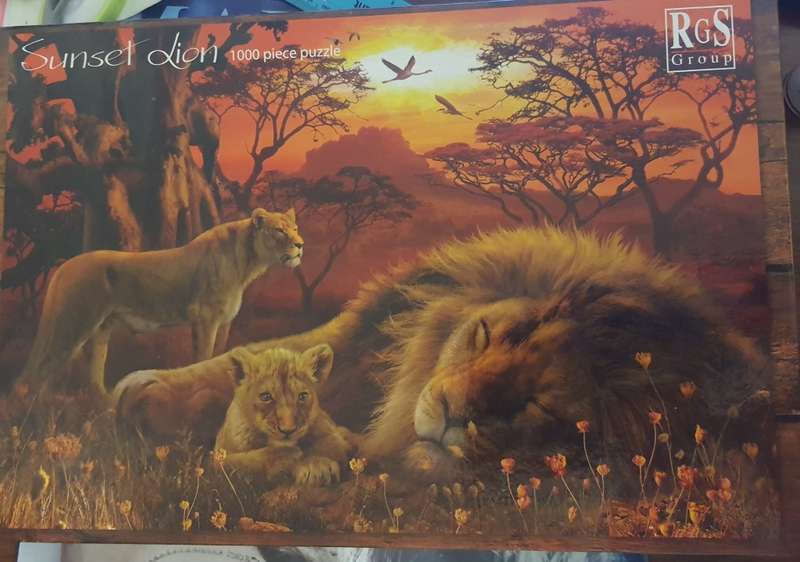 Sunset Lion  puzzle